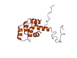1ddf: FAS DEATH DOMAIN, NMR, MINIMIZED AVERAGE STRUCTURE