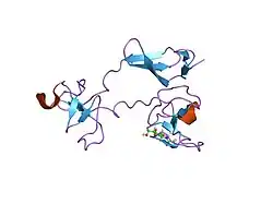 1e8b: SOLUTION STRUCTURE OF 6F11F22F2, A COMPACT THREE-MODULE FRAGMENT OF THE GELATIN-BINDING DOMAIN OF HUMAN FIBRONECTIN