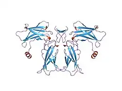 1ebp: COMPLEX BETWEEN THE EXTRACELLULAR DOMAIN OF ERYTHROPOIETIN (EPO) RECEPTOR [EBP] AND AN AGONIST PEPTIDE [EMP1]