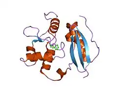 1eh8: BENZYLATED HUMAN O6-ALKYLGUANINE-DNA ALKYLTRANSFERASE