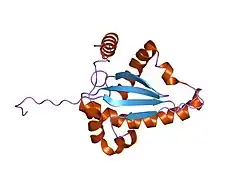 1f2h: SOLUTION STRUCTURE OF THE N-TERMINAL DOMAIN OF THE TNFR1 ASSOCIATED PROTEIN, TRADD.