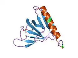 1fgz: GRP1 PH DOMAIN (UNLIGANDED)