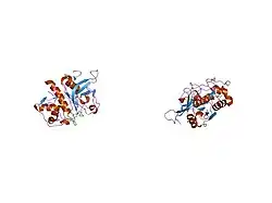 1fh0: CRYSTAL STRUCTURE OF HUMAN CATHEPSIN V COMPLEXED WITH AN IRREVERSIBLE VINYL SULFONE INHIBITOR