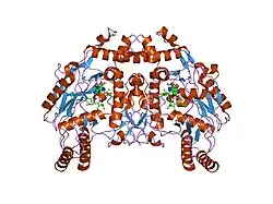 1fol: REDUCED BOVINE ENDOTHELIAL NITRIC OXIDE SYNTHASE HEME DOMAIN COMPLEXED WITH L-ARG(H4B-FREE)