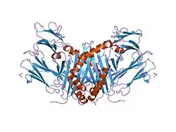 1fv1: STRUCTURAL BASIS FOR THE BINDING OF AN IMMUNODOMINANT PEPTIDE FROM MYELIN BASIC PROTEIN IN DIFFERENT REGISTERS BY TWO HLA-DR2 ALLELES