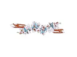 1fzg: CRYSTAL STRUCTURE OF FRAGMENT D FROM HUMAN FIBRINOGEN WITH THE PEPTIDE LIGAND GLY-HIS-ARG-PRO-AMIDE