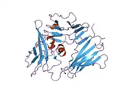1g0y: IL-1 RECEPTOR TYPE 1 COMPLEXED WITH ANTAGONIST PEPTIDE AF10847