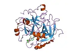 1g37: CRYSTAL STRUCTURE OF HUMAN ALPHA-THROMBIN COMPLEXED WITH BCH-10556 AND EXOSITE-DIRECTED PEPTIDE