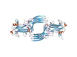 1g4m: CRYSTAL STRUCTURE OF BOVINE BETA-ARRESTIN 1