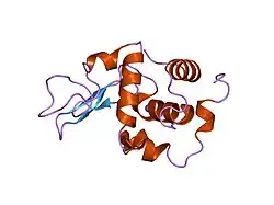 1gbw: CRYSTAL STRUCTURE OF MUTANT HUMAN LYSOZYME SUBSTITUTED AT THE SURFACE POSITIONS