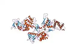 1gg3: CRYSTAL STRUCTURE OF THE PROTEIN 4.1R MEMBRANE BINDING DOMAIN