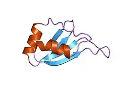 1hd0: HETEROGENEOUS NUCLEAR RIBONUCLEOPROTEIN D0 (HNRNP D0 RBD1), NMR