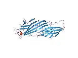 1hes: MU2 ADAPTIN SUBUNIT (AP50) OF AP2 ADAPTOR (SECOND DOMAIN), COMPLEXED WITH P-SELECTIN INTERNALIZATION PEPTIDE SHLGTYGVFTNAA