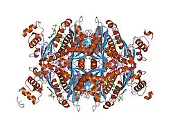 1hw9: COMPLEX OF THE CATALYTIC PORTION OF HUMAN HMG-COA REDUCTASE WITH SIMVASTATIN