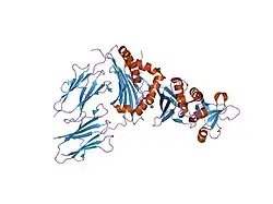 1hxy: CRYSTAL STRUCTURE OF STAPHYLOCOCCAL ENTEROTOXIN H IN COMPLEX WITH HUMAN MHC CLASS II