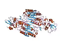 1i3o: CRYSTAL STRUCTURE OF THE COMPLEX OF XIAP-BIR2 AND CASPASE 3