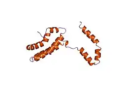 1inr: CYTOKINE SYNTHESIS