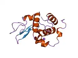 1ip4: G72A HUMAN LYSOZYME