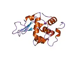 1ip6: G127A HUMAN LYSOZYME