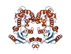 1ism: Crystal Structure Analysis of BST-1/CD157 complexed with nicotinamide