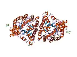 1itq: HUMAN RENAL DIPEPTIDASE