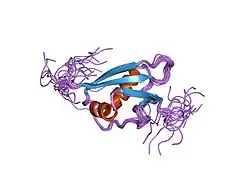 1j0g: Solution Structure of Mouse Hypothetical 9.1 kDa Protein, A Ubiquitin-like Fold