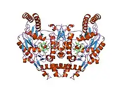 1k2t: Structure of rat brain nNOS heme domain complexed with S-ethyl-N-phenyl-isothiourea