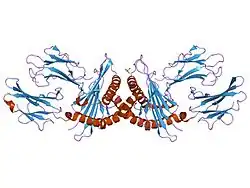 1kpr: The human non-classical major histocompatibility complex molecule HLA-E
