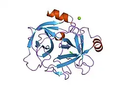 1lo6: Human Kallikrein 6 (hK6) active form with benzamidine inhibitor at 1.56 A resolution