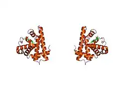 1myh: HIGH RESOLUTION X-RAY STRUCTURES OF PIG METMYOGLOBIN AND TWO CD3 MUTANTS MB(LYS45-> ARG) AND MB(LYS45-> SER)