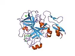 1nfu: CRYSTAL STRUCTURE OF HUMAN COAGULATION FACTOR XA COMPLEXED WITH RPR132747