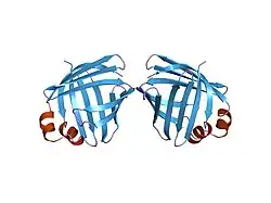 1opa: THE CRYSTAL STRUCTURES OF HOLO-AND APO-CELLULAR RETINOL BINDING PROTEIN II