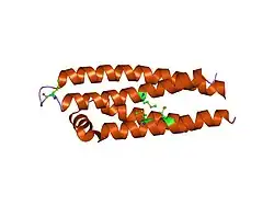 1or2: APOLIPOPROTEIN E3 (APOE3) TRUNCATION MUTANT 165