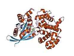 1ow3: Crystal Structure of RhoA.GDP.MgF3-in Complex with RhoGAP