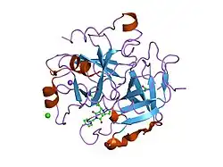 1oyt: COMPLEX OF RECOMBINANT HUMAN THROMBIN WITH A DESIGNED FLUORINATED INHIBITOR