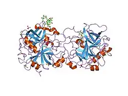 1rd3: 2.5A Structure of Anticoagulant Thrombin Variant E217K