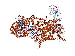 1sqb: Crystal Structure Analysis of Bovine Bc1 with Azoxystrobin