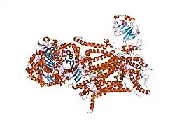 1sqq: Crystal Structure Analysis of Bovine Bc1 with Methoxy Acrylate Stilbene (MOAS)