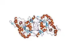 1t8u: Crystal Structure of human 3-O-Sulfotransferase-3 with bound PAP and tetrasaccharide substrate