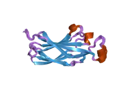 1tey: NMR structure of human histone chaperone, ASF1A