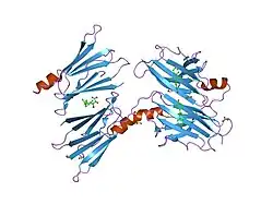 1tz8: The monoclinic crystal structure of transthyretin in complex with diethylstilbestrol