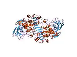 1u3w: Crystal Structure of Human Alcohol Dehydrogenase Gamma-2-Gamma-2 Isoform Complexed with N-1-Methylheptylformamide Determined to 1.45 Angstrom Resolution