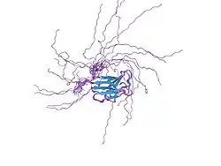 1ufg: Solution structure of immunoglobulin like domain of mouse nuclear lamin