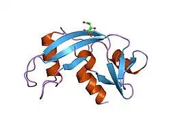 1un5: ARH-II, AN ANGIOGENIN/RNASE A CHIMERA
