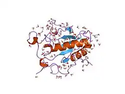1vhh: A POTENTIAL CATALYTIC SITE WITHIN THE AMINO-TERMINAL SIGNALLING DOMAIN OF SONIC HEDGEHOG
