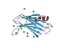 1w15: RAT SYNAPTOTAGMIN 4 C2B DOMAIN IN THE PRESENCE OF CALCIUM