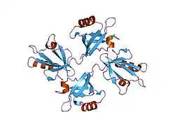 1w9q: CRYSTAL STRUCTURE OF THE PDZ TANDEM OF HUMAN SYNTENIN IN COMPLEX WITH TNEFAF PEPTIDE