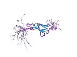 1wj3: Solution structure of the fourth fn3 domain of KIAA1496 protein