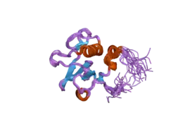1wqu: Solution structure of the human FES SH2 domain