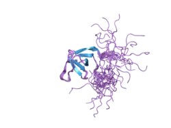 1wx6: Solution structure of the SH3 domain of the human cytoplasmic protein NCK2